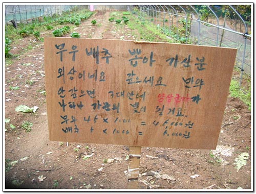 "무, 배추 뽑아 가신 분, 외상이네요. 갚으세요. 만약 안 갚으면 3대안에 양상군자가 나타나 가문의 빛이 될거요. 무45*1000=45000원 배추5포기*1000원=5000원" 